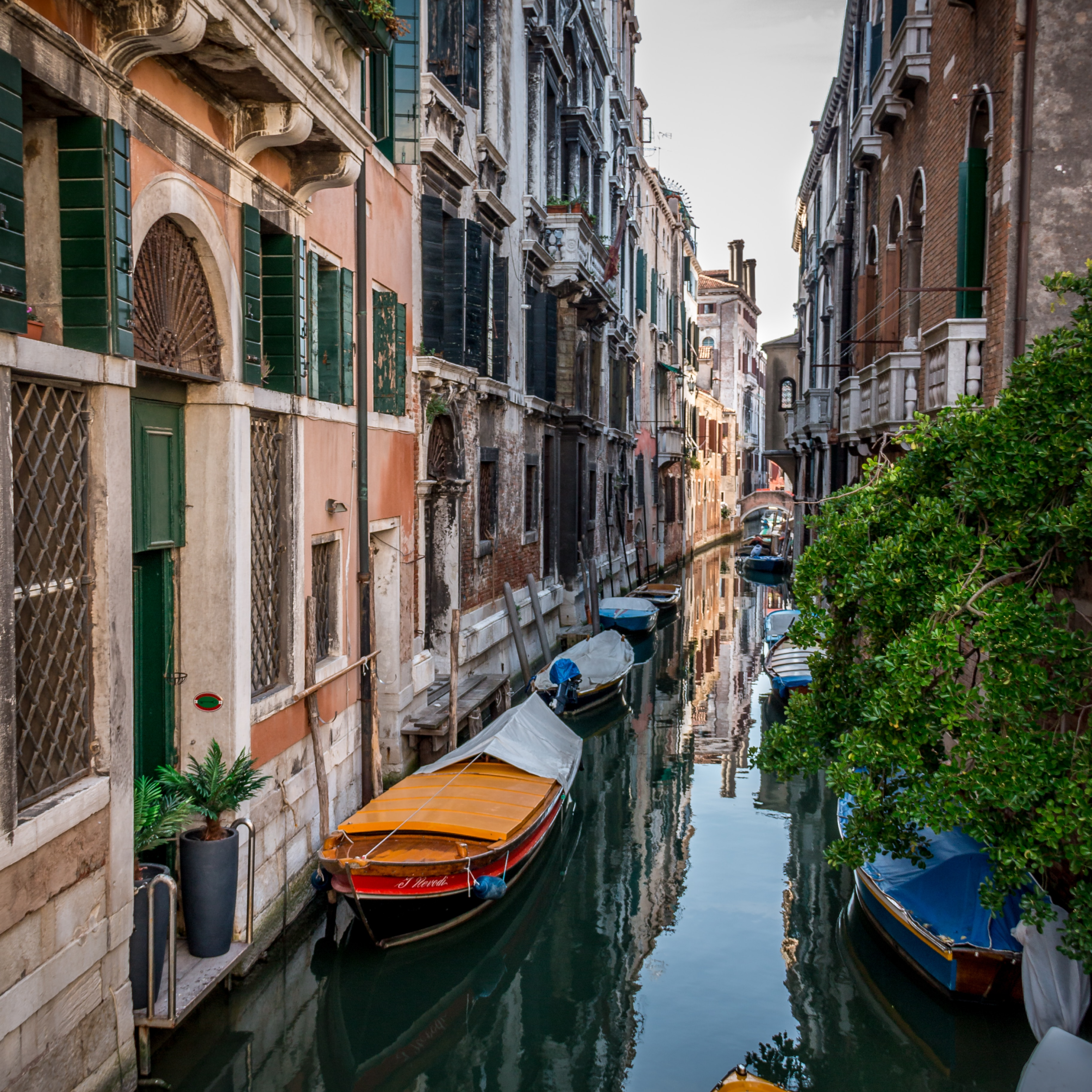 Bryllupsrejse i romantiske Venedig, Italien med kanaler, gondoler og solnedgang